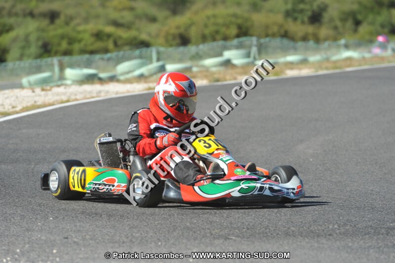 DSC (2746).JPG